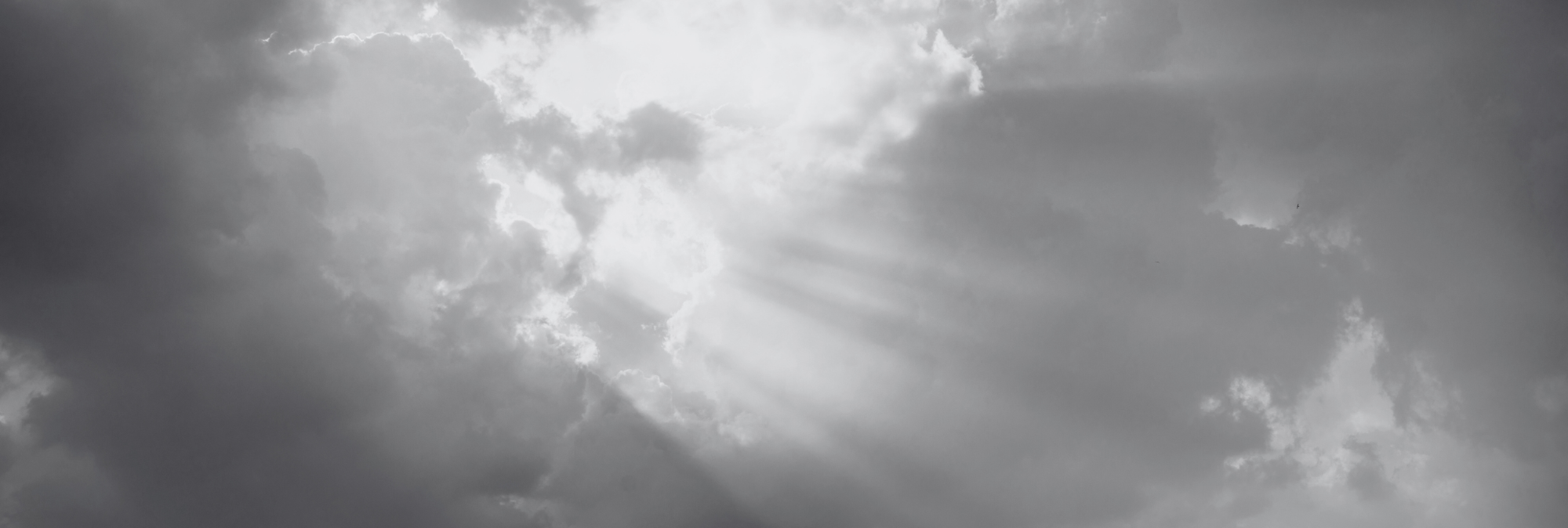 次世代を担う子どもたちが背中を追いかけたいと思える大人を創る